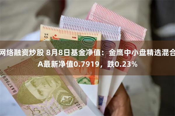 网络融资炒股 8月8日基金净值：金鹰中小盘精选混合A最新净值0.7919，跌0.23%