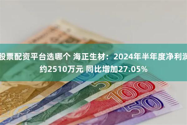 股票配资平台选哪个 海正生材：2024年半年度净利润约2510万元 同比增加27.05%