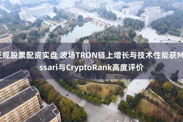 正规股票配资实盘 波场TRON链上增长与技术性能获Messari与CryptoRank高度评价