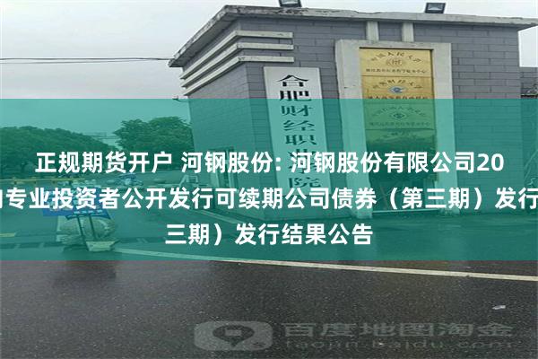 正规期货开户 河钢股份: 河钢股份有限公司2024年面向专业投资者公开发行可续期公司债券（第三期）发行结果公告