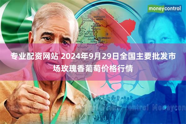 专业配资网站 2024年9月29日全国主要批发市场玫瑰香葡萄价格行情