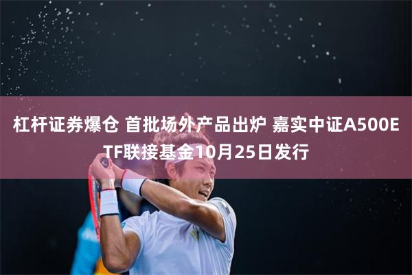 杠杆证券爆仓 首批场外产品出炉 嘉实中证A500ETF联接基金10月25日发行