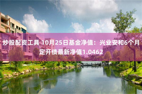 炒股配资工具 10月25日基金净值：兴业安和6个月定开债最新净值1.0462