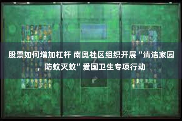 股票如何增加杠杆 南奥社区组织开展“清洁家园，防蚊灭蚊”爱国卫生专项行动