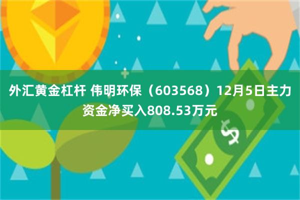 外汇黄金杠杆 伟明环保（603568）12月5日主力资金净买入808.53万元