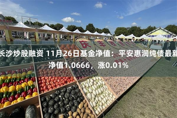 长沙炒股融资 11月26日基金净值：平安惠润纯债最新净值1.0666，涨0.01%