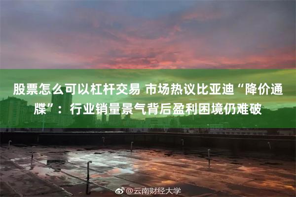 股票怎么可以杠杆交易 市场热议比亚迪“降价通牒”：行业销量景气背后盈利困境仍难破