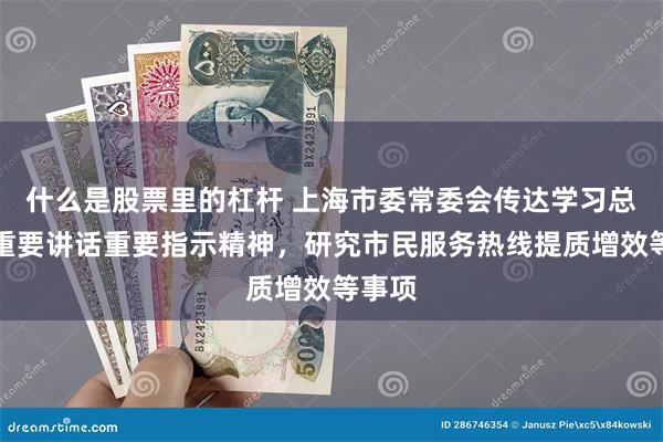 什么是股票里的杠杆 上海市委常委会传达学习总书记重要讲话重要指示精神，研究市民服务热线提质增效等事项