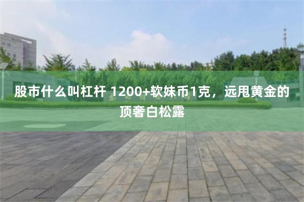 股市什么叫杠杆 1200+软妹币1克，远甩黄金的顶奢白松露