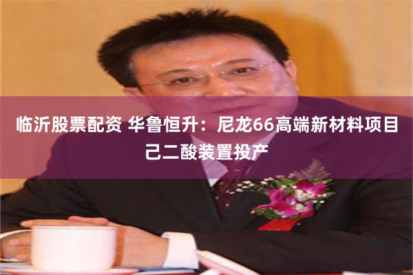 临沂股票配资 华鲁恒升：尼龙66高端新材料项目己二酸装置投产