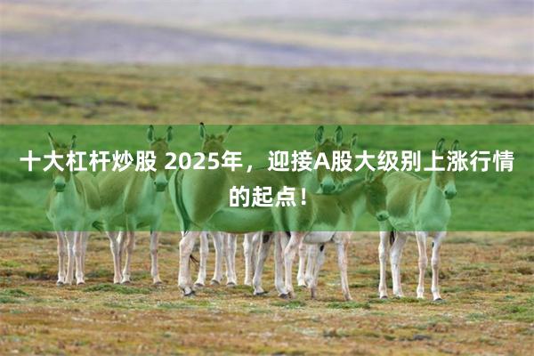 十大杠杆炒股 2025年，迎接A股大级别上涨行情的起点！