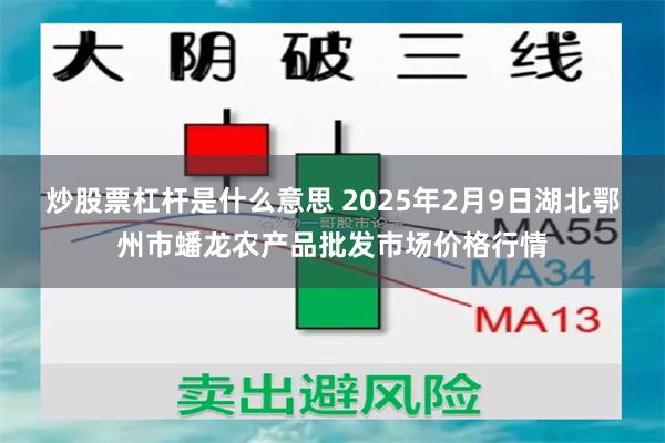 炒股票杠杆是什么意思 2025年2月9日湖北鄂州市蟠龙农产品批发市场价格行情